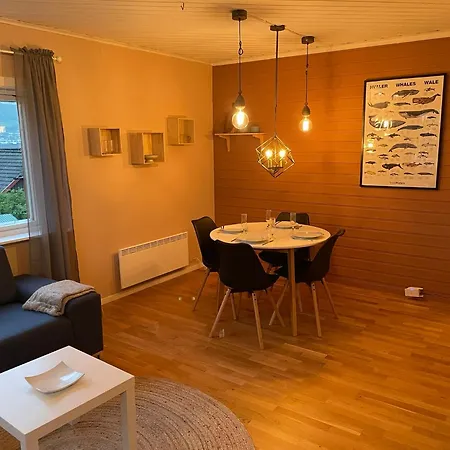 Centrally Located In Classic Townhouse * Tromsø